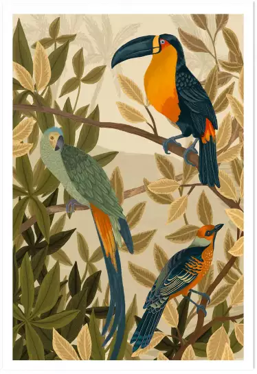 Oiseaux de paradis - affiche oiseaux tropicaux