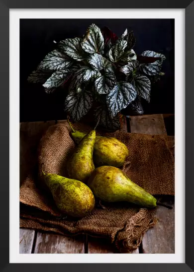 Poires - affiche nature morte