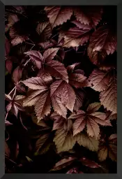 Automne au jardin - affiche feuille