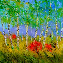 Bouleaux et coquelicots - paysage abstrait