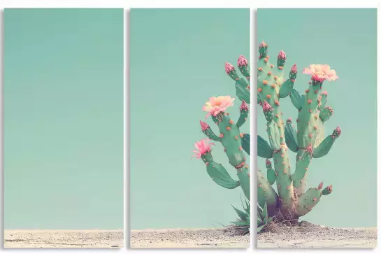 Figuier de Barbarie - affiche cactus