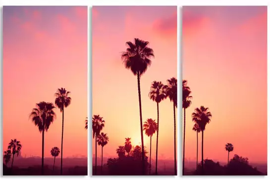 Ciel et palmiers californiens - affiche palmier rose