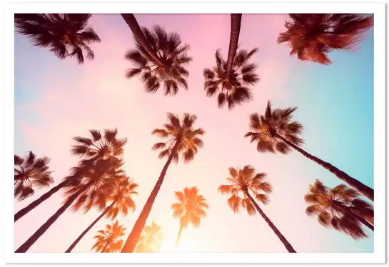 Beverly hills sunset - affiche palmier rose
