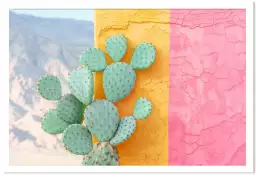 Cactus sur mur coloré - affiche cactus