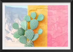 Cactus sur mur coloré - affiche cactus