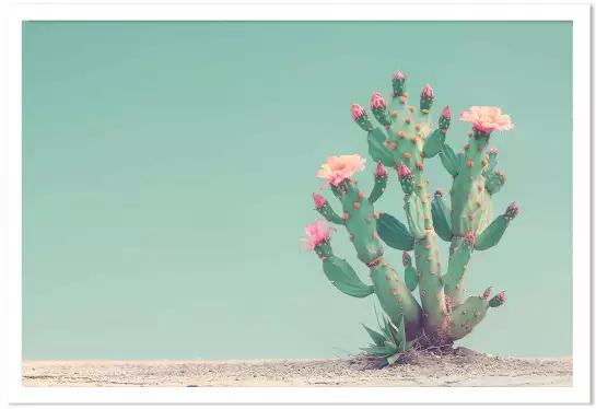 Figuier de Barbarie - affiche cactus
