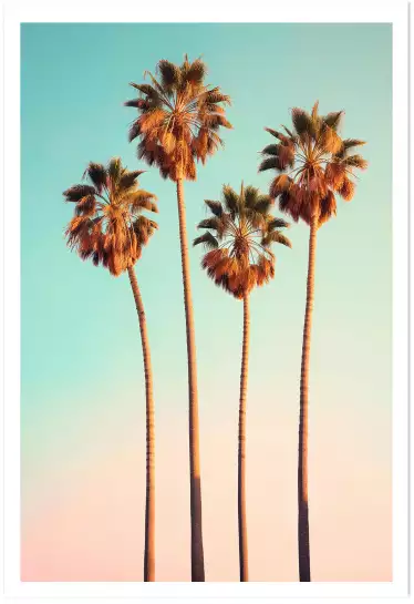 Palmiers Hollywood boulevard - affiche palmier rose