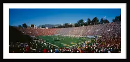 Stade de Baseball Pasadena - affiche de sport