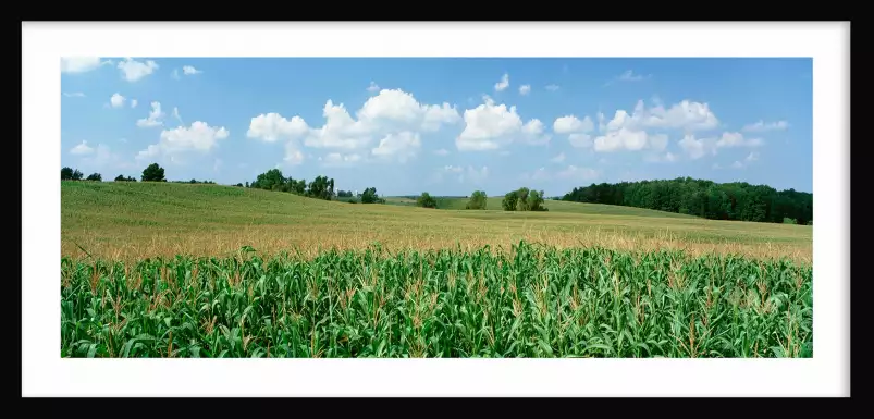 Mais en folie dans le Wyoming - affiche paysage