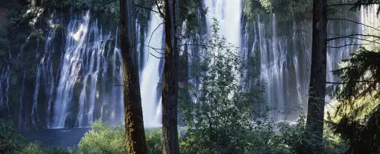 Cascade de McArthur Burney - affiche nature