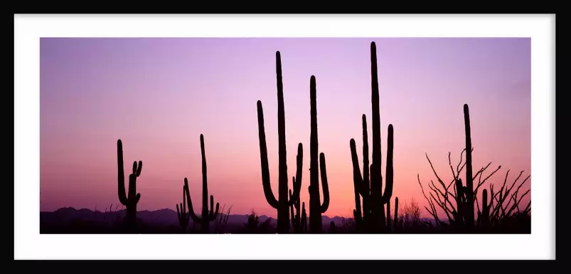 Silhouette Saguaro - affiche cactus