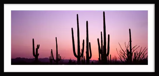 Silhouette Saguaro - affiche cactus