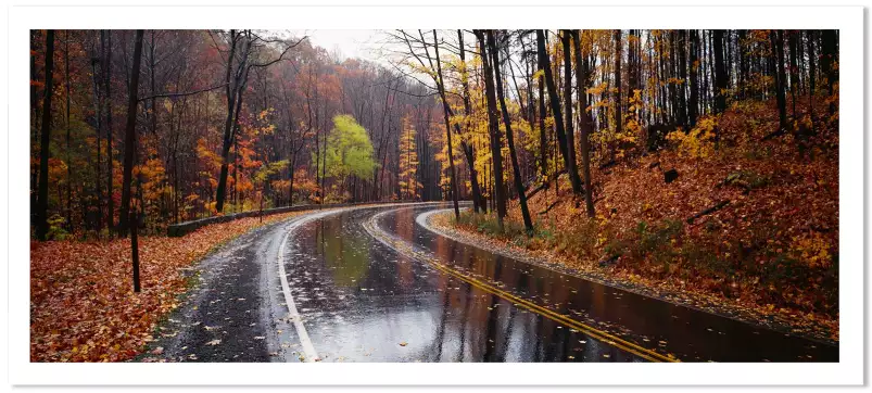 Route en automne - paysage nature