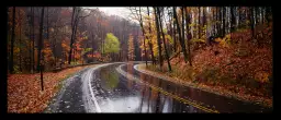 Route en automne - paysage nature