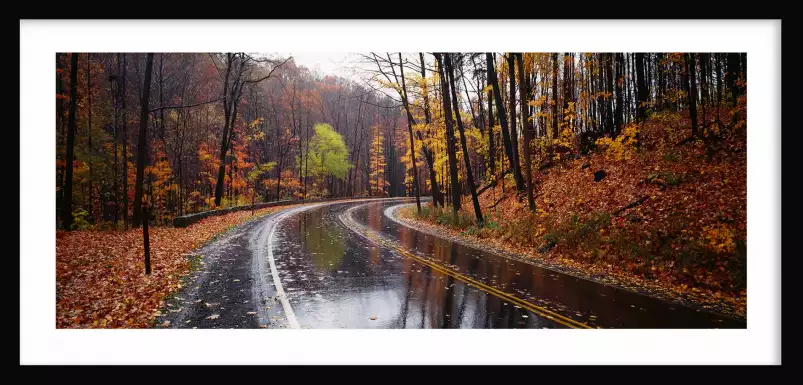 Route en automne - paysage nature