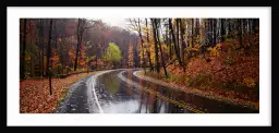 Route en automne - paysage nature