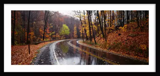 Route en automne - paysage nature