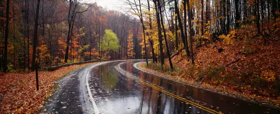 Route en automne - paysage nature