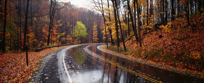 Route en automne - paysage nature