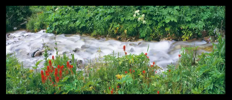 Nature dans le wyoming - affiche nature