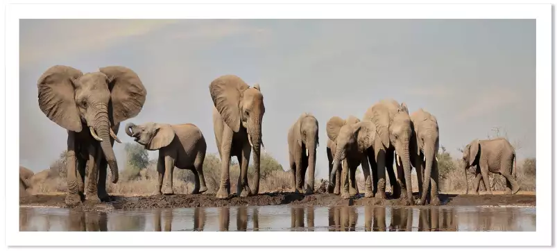 Géants près de la rivière - tableau elephant