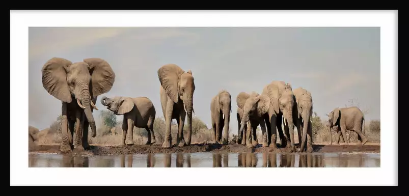 Géants près de la rivière - tableau elephant