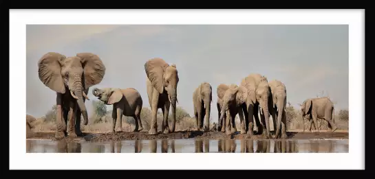 Géants près de la rivière - tableau elephant