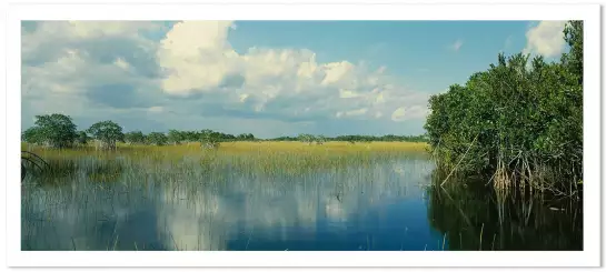 Nuage sur les Everglades - tableau nature
