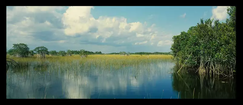 Nuage sur les Everglades - tableau nature