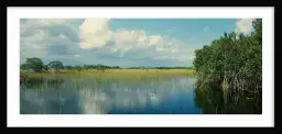 Nuage sur les Everglades - tableau nature