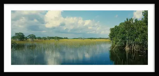 Nuage sur les Everglades - tableau nature