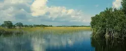 Nuage sur les Everglades - tableau nature