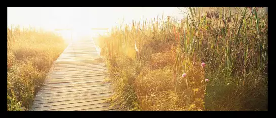 Jetée en bois sur lac - affiche nature