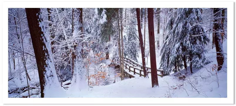 Passerelle sur Cleveland - paysage hiver