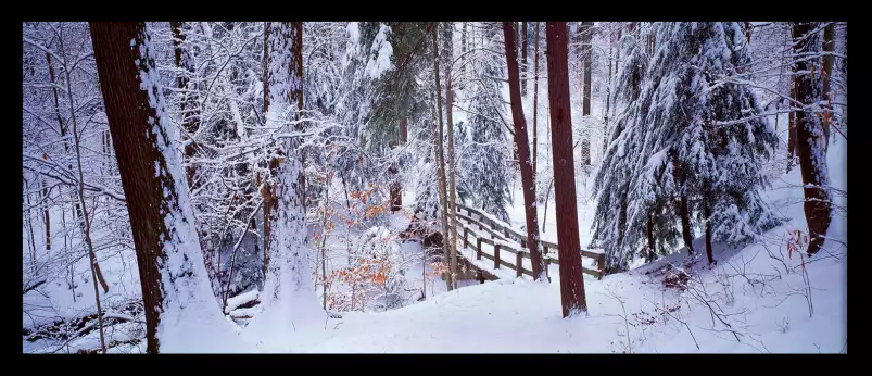 Passerelle sur Cleveland - paysage hiver