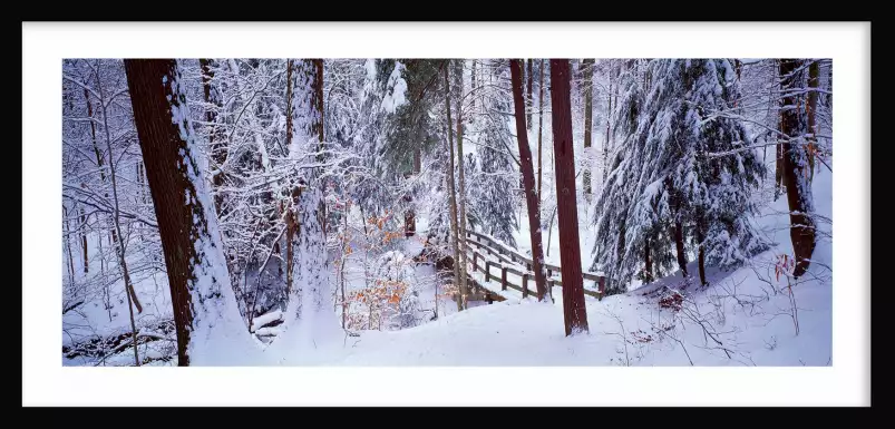 Passerelle sur Cleveland - paysage hiver