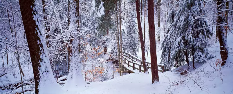 Passerelle sur Cleveland - paysage hiver