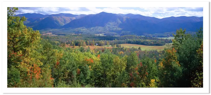 Paysage en Tennessee - paysage d'automne avec animaux