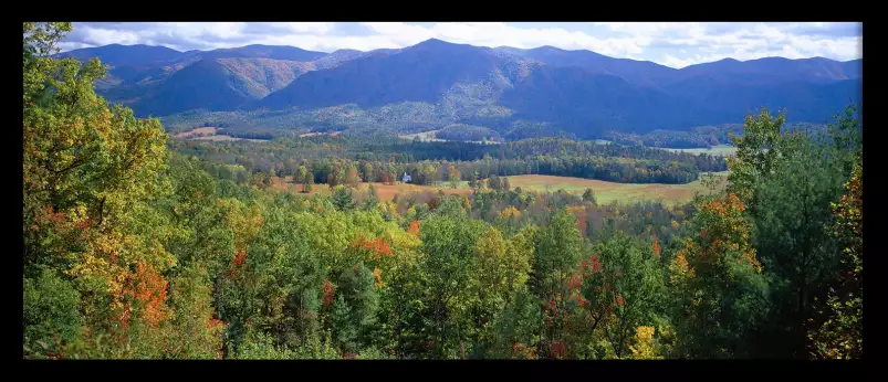 Paysage en Tennessee - paysage d'automne avec animaux