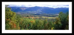 Paysage en Tennessee - paysage d'automne avec animaux