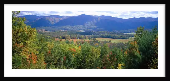 Paysage en Tennessee - paysage d'automne avec animaux