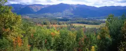 Paysage en Tennessee - paysage d'automne avec animaux