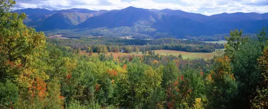 Paysage en Tennessee - paysage d'automne avec animaux