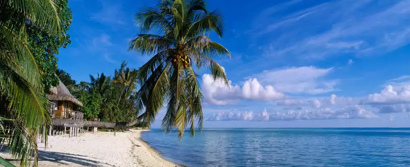 Paradis sur la plage de Matira - affiche mer