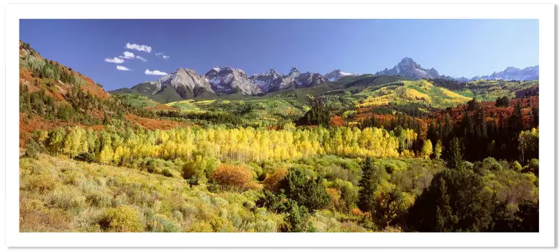 Trembles dans le Sneffels Range - paysage d'automne avec animaux