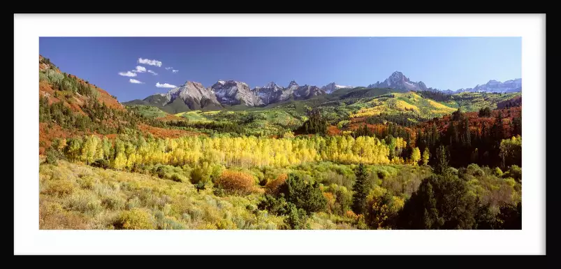 Trembles dans le Sneffels Range - paysage d'automne avec animaux