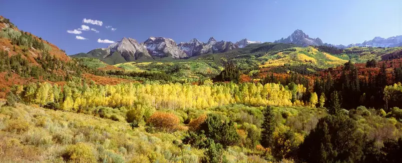 Trembles dans le Sneffels Range - paysage d'automne avec animaux