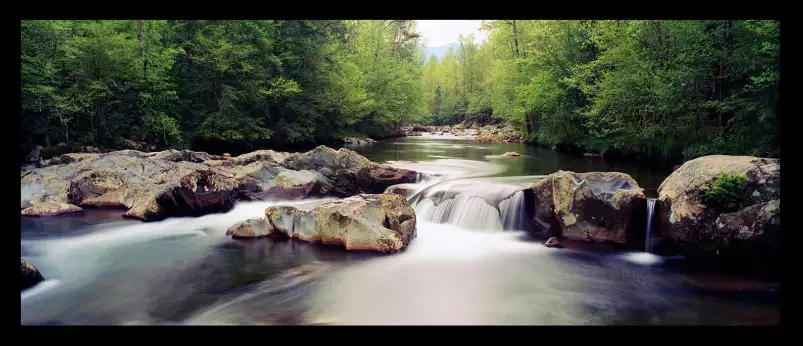 Rivière de little Pigeon - paysage d'automne avec animaux