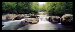 Rivière de little Pigeon - paysage d'automne avec animaux