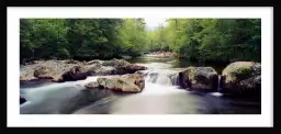 Rivière de little Pigeon - paysage d'automne avec animaux